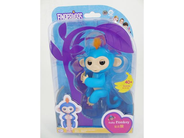 blue fingerling monkey with orange hair