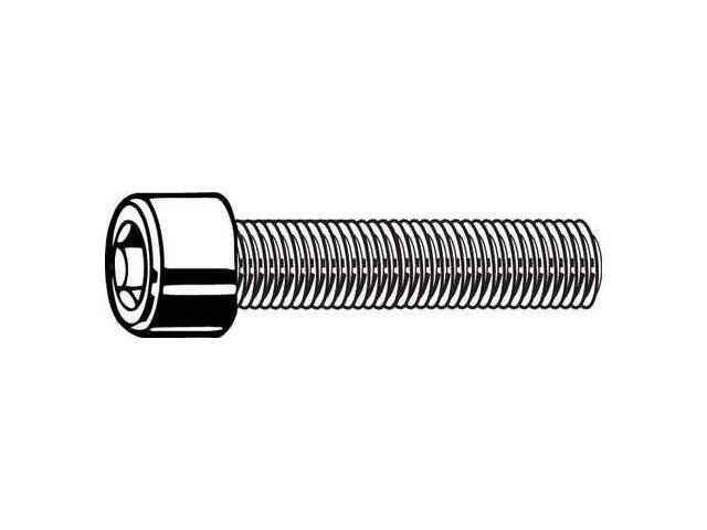 8-36x1//2 Socket Allen Head Cap Screw Stainless Steel Fine Thread #8 x 1//2 50