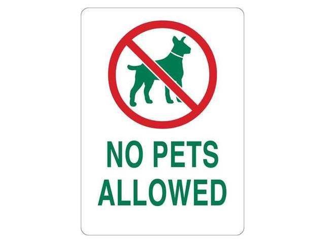 Not allowed tv текст. No Pets allowed. Pets are not allowed. Pets not allowed знак на белом фоне. No Pets allowed знак на хромакее.