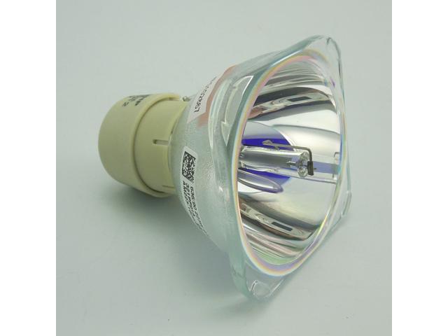 Replacement Lamp with Housing for OPTOMA BL-FU220D with Philips Bulb Inside 