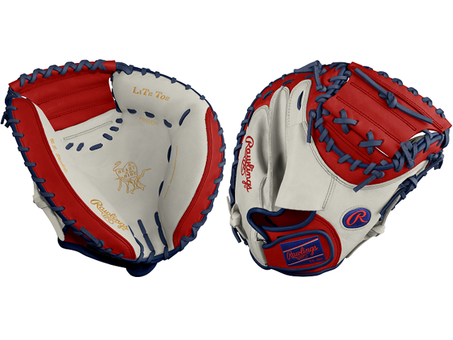 heart of the hide catchers glove