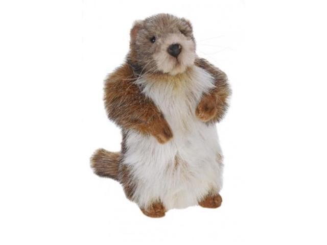 groundhog plush