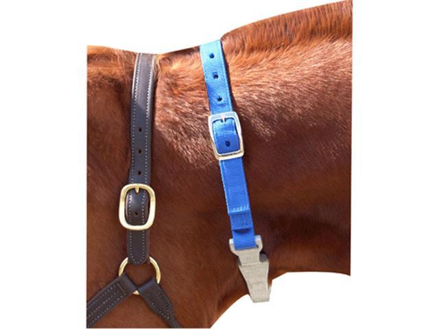 Cribbing Strap For Horses Newegg Com