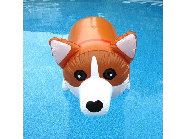 corgi float