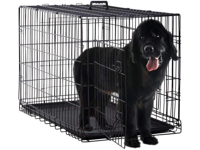 48 plastic dog crate
