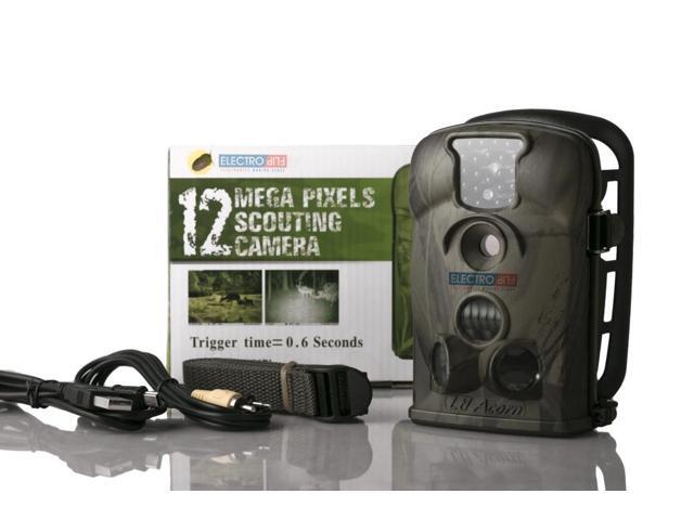 deer motion camera