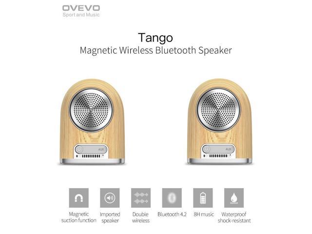 tango 100 portable speaker