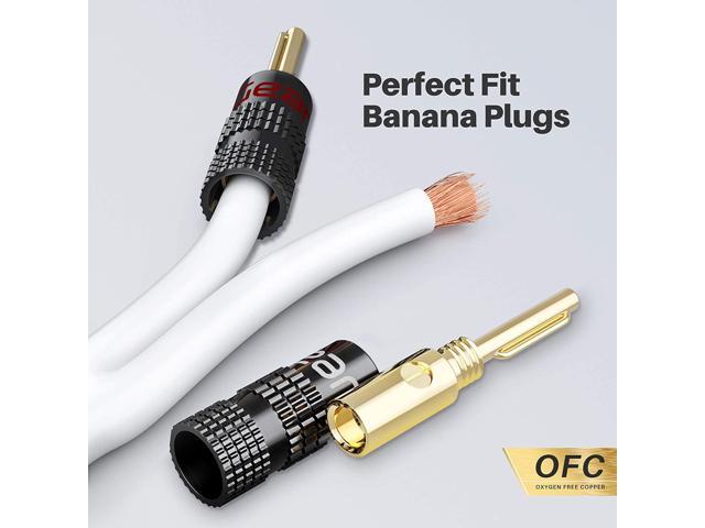 Cable Matters Heavy Duty 12 AWG Oxygen-Free Bare Copper Banana Plug Speaker Cable 6 Feet 