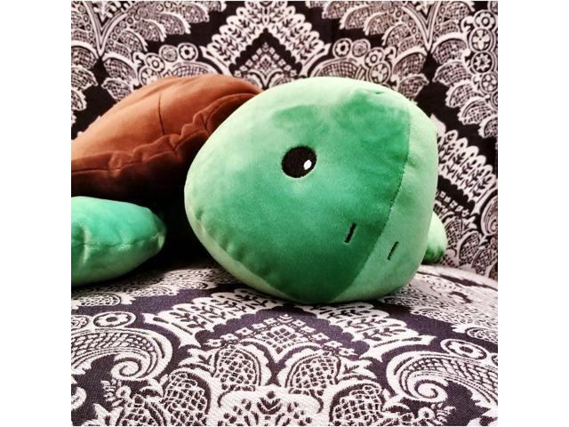 snoozimals turtle