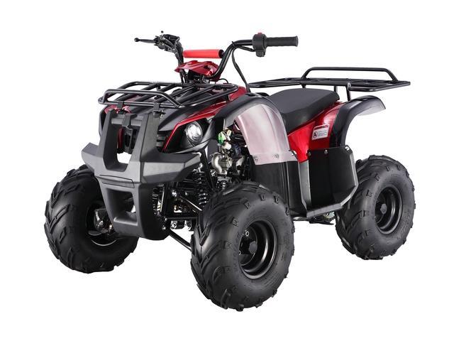 Tao Tao 125CC ATA125D ATV - Newegg.com