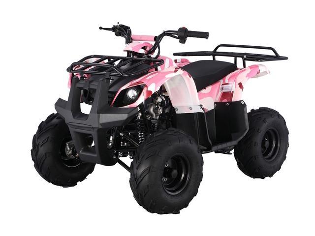 Tao Tao 125CC ATA125D ATV - Newegg.com