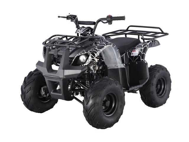 Tao Tao 125CC ATA125D ATV - Newegg.com