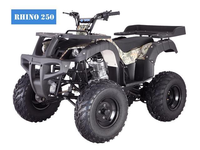 Tao Tao 250CC RHINO250 ATV - Newegg.com