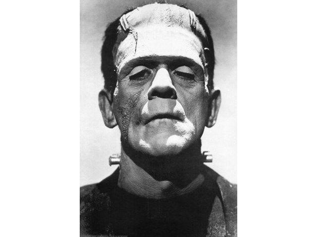 FRANKENSTEIN POSTER 1931 Scary RARE HOT NEW 24X36
