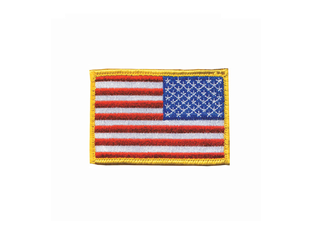 Zan Motley Tube Wavy American Flag T265