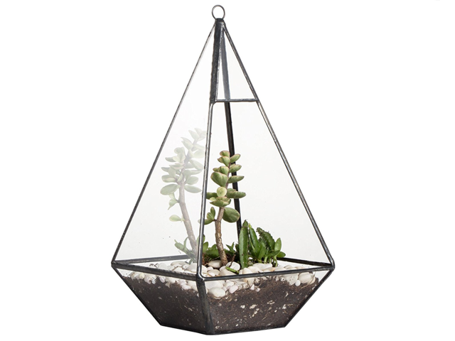 Clear Glass Metal Diamond Geometric Terrarium Succulent Plant Box Pot Moss Fern 