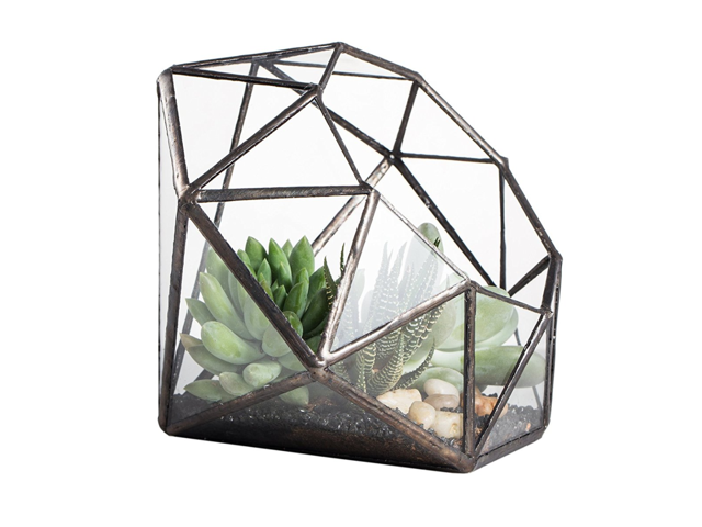 Diamond Hanging Glass terrarium Tabletop succulents Plante Box moss loin 
