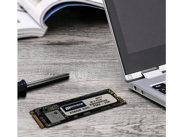 DATARAM Internal SSD 256GB, PCIe M.2 2280 Solid State Drive 256G, PCIe