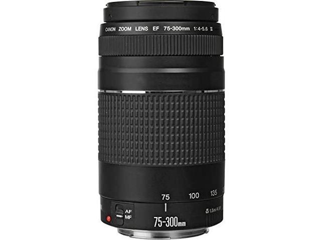 Refurbished Canon 6473a003 Ef 75 300mm F 4 5 6 Iii Lens Telephoto Zoom Lens Newegg Com