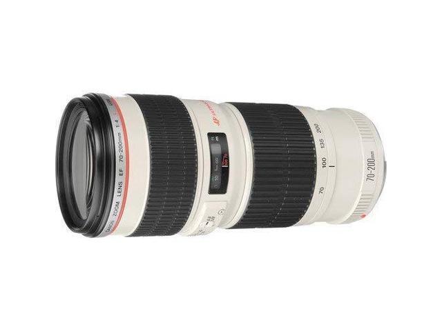 Canon EF 70-200mm f/4L USM Telephoto Zoom Lens for Canon SLR Cameras International Version