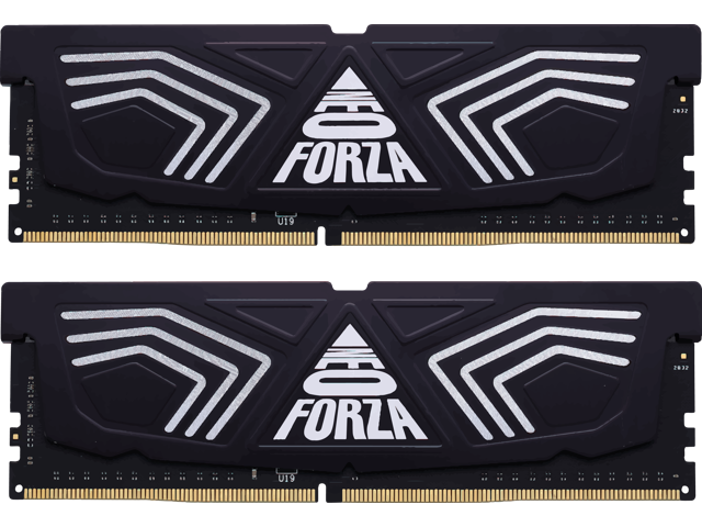 Neo Forza FAYE 16GB (2x8GB) 288-Pin DDR4 3200 (PC4 25600) SDRAM Desktop Memory Model NMUD480E82-3200DG20