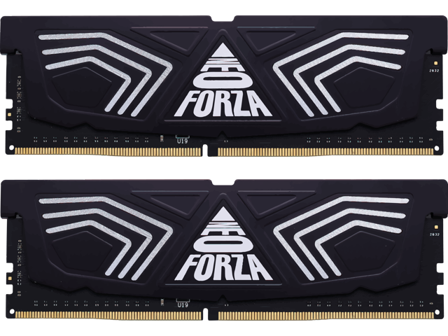 Neo Forza FAYE SRank 32GB (2x16GB) 288-Pin DDR4 3200 (PC4 25600) SDRAM Desktop Memory Model NMUD416F82-3200DG20