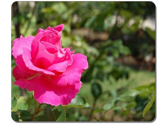 Pink Roses Mousepad Mouse Pad Mat