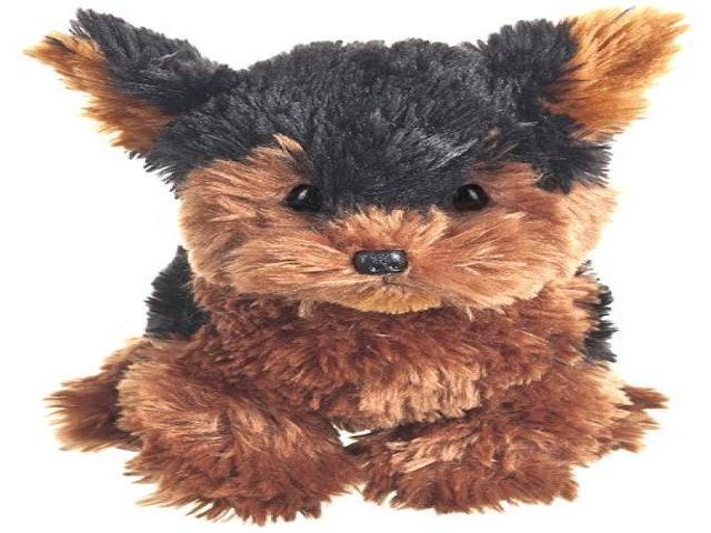 webkinz teacup yorkie