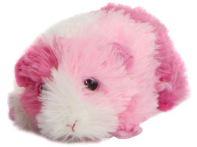 ty guinea pig stuffed animal