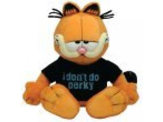 garfield beanie baby