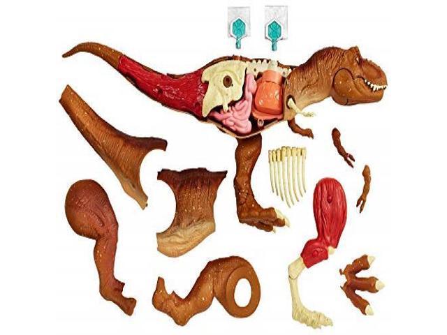 mattel jurassic world stem tyrannosaurus rex anatomy kit