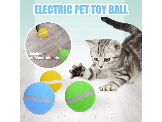 active rolling ball for dogs