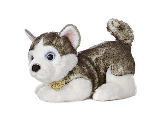 miyoni tots husky