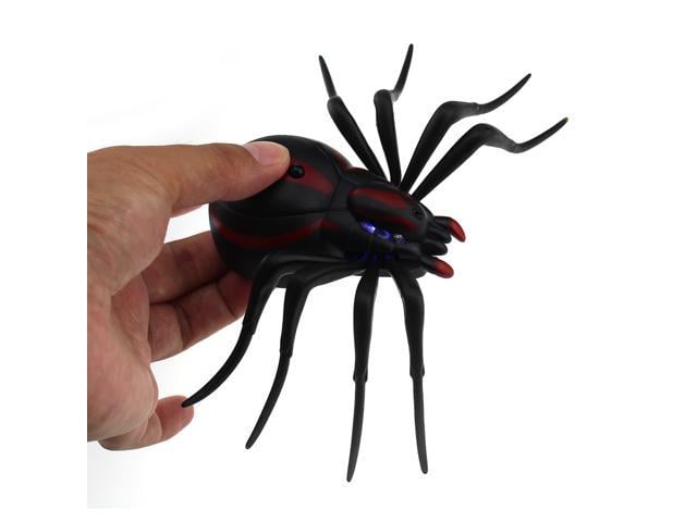 rc spider with camera