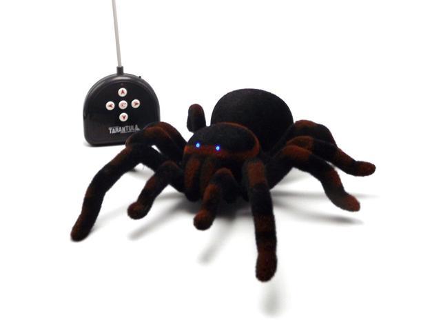 rc spider with camera