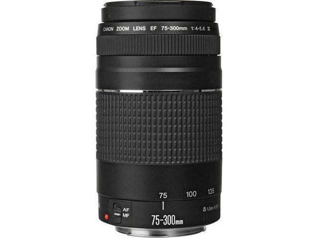 Canon Ef 75 300mm F 4 5 6 Iii Telephoto Zoom Lens 6473a003 Bundle With Tulip Lens Hood Uv Filter More Newegg Com