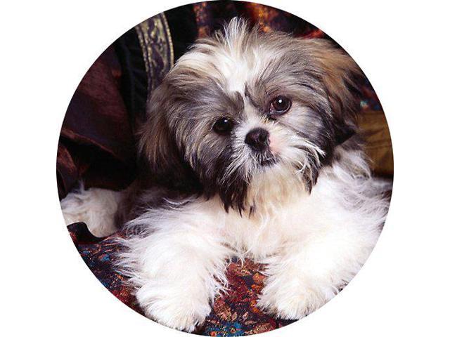 Shih Tzu Puppy 5 Round Jar Opener Or Mini Mousepad With Black