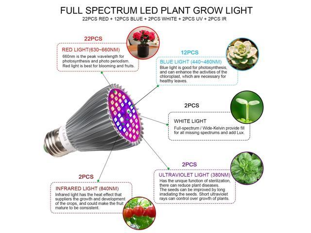 Dimmable NEW Grow Light Bulb170W Equivalent /UFO Red/Blue LED  30-Watt Bulb