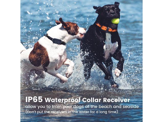 15609円 最新入荷 Dog Shock Collar for Dogs PORUIS Rechargeable Training with Rem