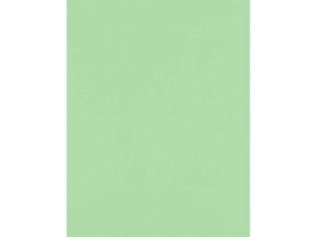 8 1 2 X 11 Paper Pastel Green 1000 Qty Newegg Com