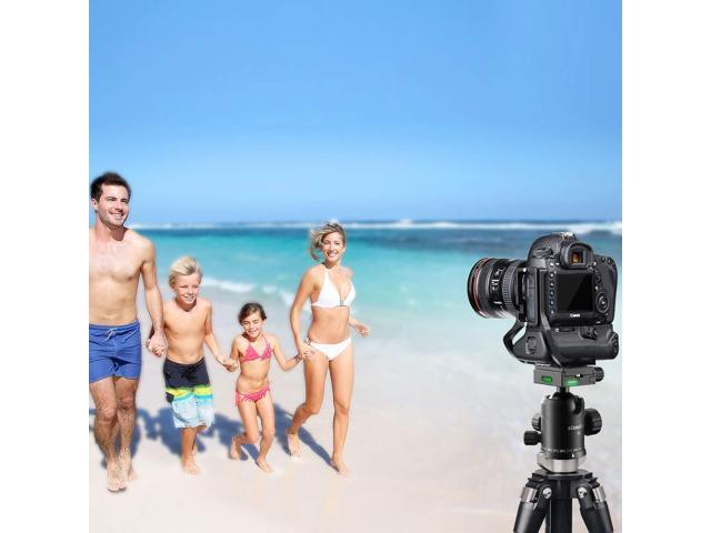 Sinnofoto Q02U Professional Camera Tripod Ball Head With 1//4 Inch Arca Swiss Quick Fast Plate includes Bubble Level Max Loading 33lbs Ballhead for Tripod,Monopod,Slider,DSLR Camera,Camcorder