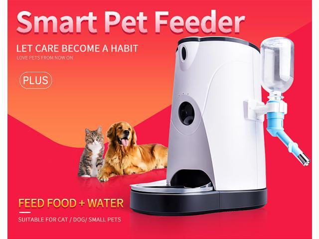 wifi dog feeder