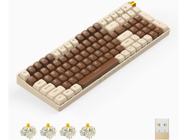 Royalaxe R100 ROYALAXE X ProtoArc R100 Wireless Mechanical Keyboard, Hot-swappable ...