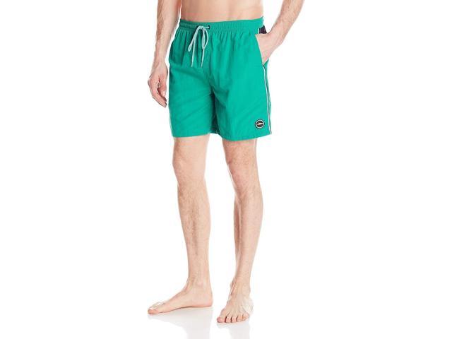 speedo volley swim trunks