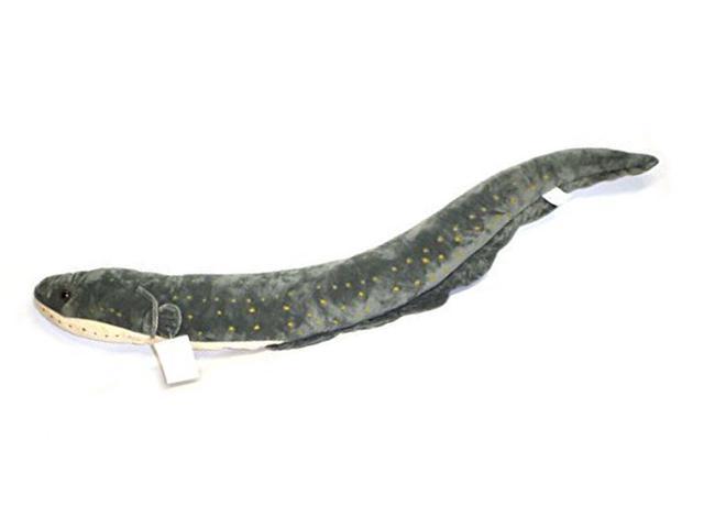 eel plush