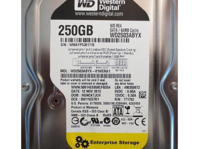 Western Digital WD2503ABYX-01WERA1 250GB 3.5/" 7.2K RPM SATA Hard Drive
