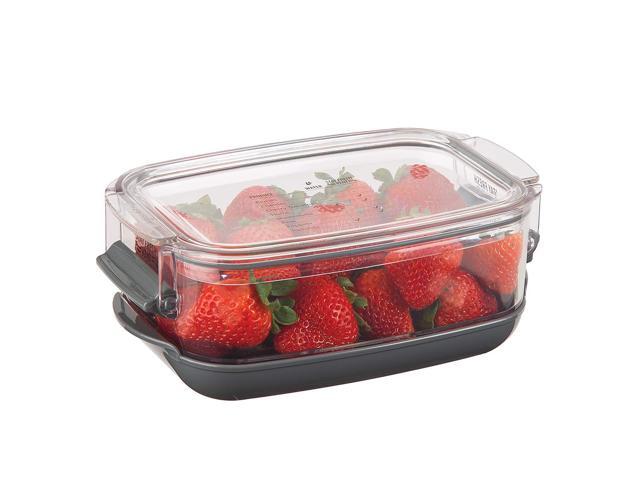 Prepworks By Progressive Berry Prokeeper Pks 910 1 2 Quart Strawberries Blueberry Fruit Vegetable Container Newegg Com