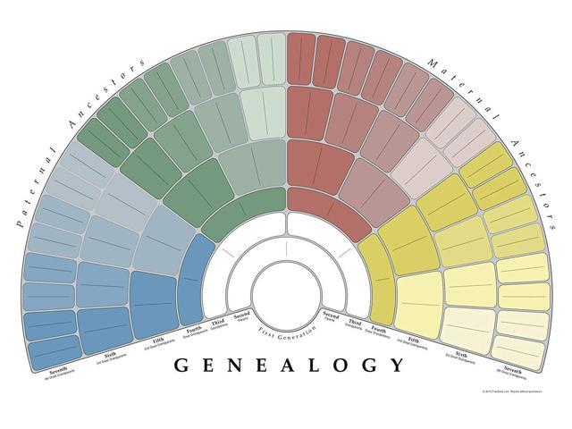 Treeseek Genealogy Wall Charts