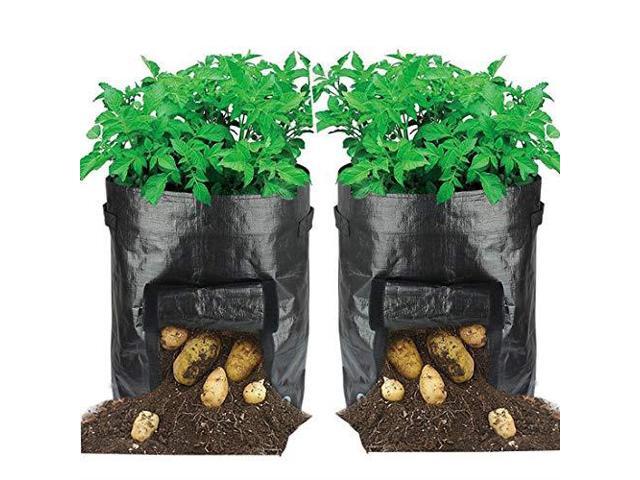 Potato Grow Bag 10 Gallon Vegetables Garden Planter Bags With Access Flap And Handles For Harvesting Potatocarrot Amp Onion 2 Pack Black Newegg