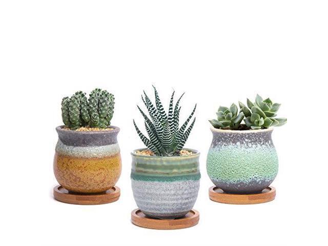 T4u Tooth Succulent Pots 3pack Cute White Ceramic Planter Cactus Plant Pot Creative Pen Pencil Holder For Home Office Desk Decor Best Birthday Wedding